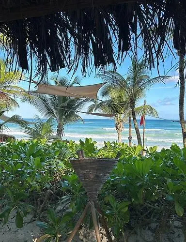 New Luxury Ph With Private Terrace & Plunge Pool Apartamento *