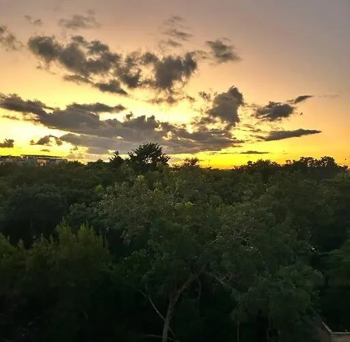 New Luxury Ph With Private Terrace & Plunge Pool * Tulum